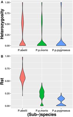 Short Tandem Repeats as a High-Resolution Marker for Capturing Recent Orangutan Population Evolution